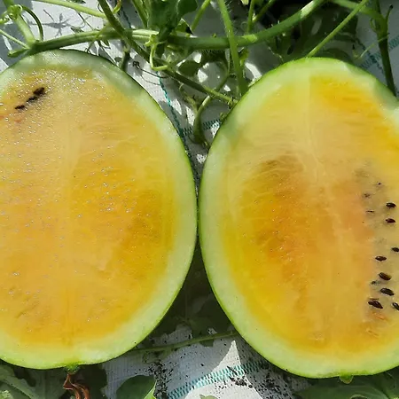 La Collina Alloggio per agriturismo Levanto