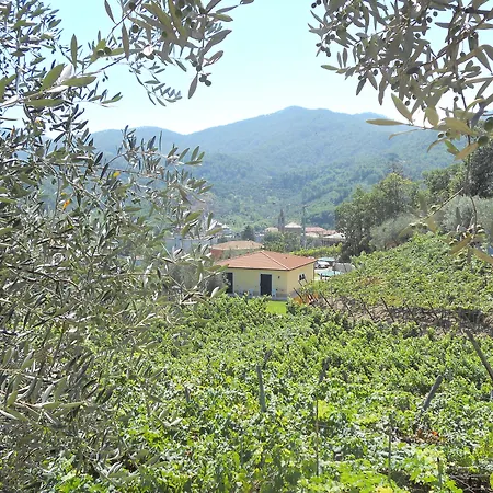 Alloggio per agriturismo La Collina