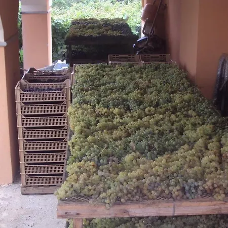 Farma La Collina
