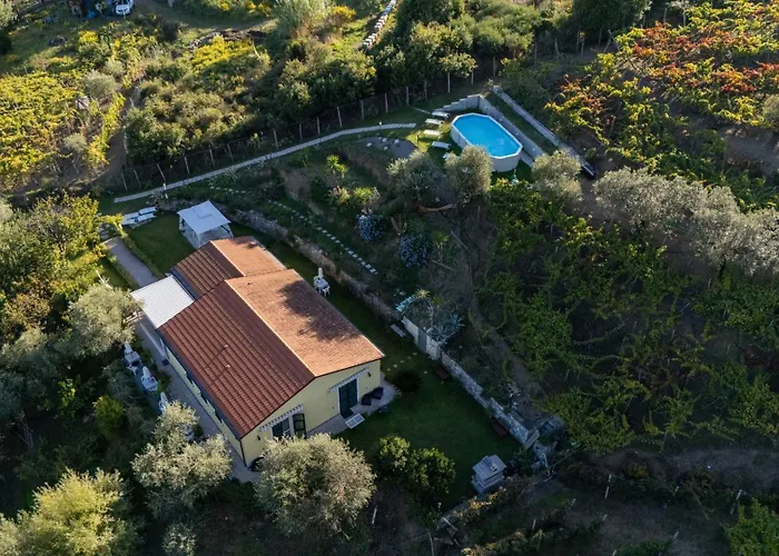 La Collina Farma