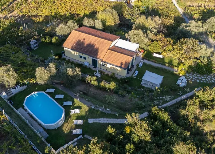 La Collina *