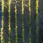 בית חווה La Collina *