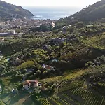 La Collina לבנטו