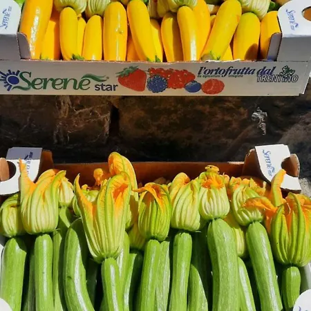 La Collina Çiftlik konaklama *