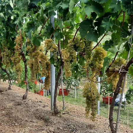 בית חווה La Collina