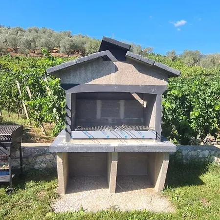 La Collina * לבנטו