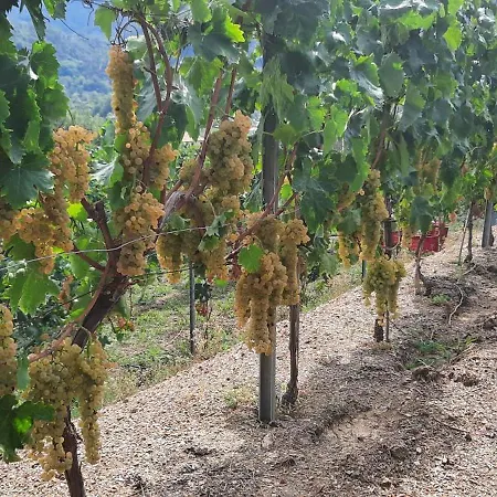 La Collina