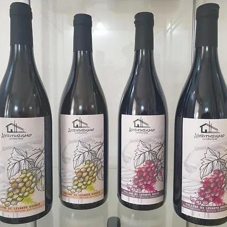 La Collina Çiftlik konaklama Levanto