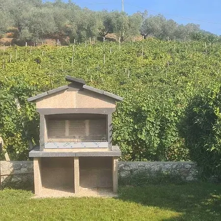La Collina *