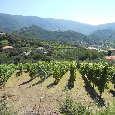 La Collina *