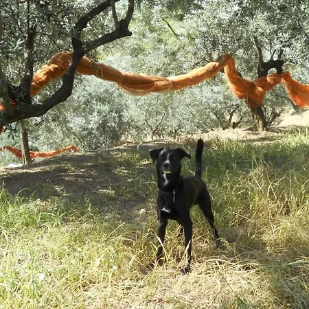 La Collina * Λεβάντο