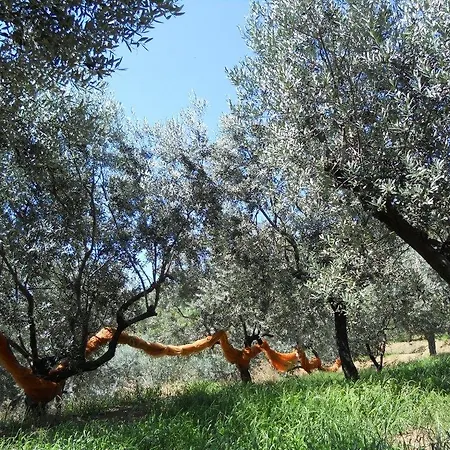 La Collina * Levanto